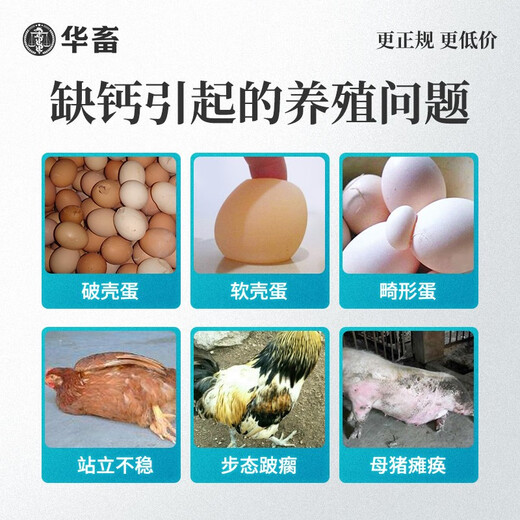 Huazhu High Calcium Shell Powder 20 Jin Jin is equal to 0.5 kg Layer Feed Additive Calcium Anti-soft Shell Duck Goose Quail Birds Pig Cattle and Sheep Trace Elements 1 bag High Calcium Shell Powder 20 Jin Jin is equal to 0.5 kg