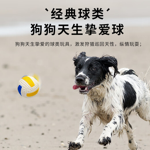 EETOYS Small Latex Volleyball Dog Toy Fun Noise Cleaning Ball Interactive Training Pet Supplies
