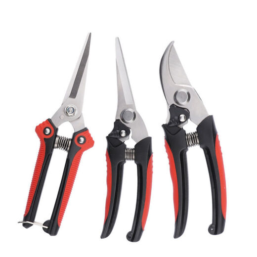 Flowers and scissors, sparse flowers, fruits and scissors, floral scissors, household flowering scissors, pruning scissors, gardening scissors, grapes, round style #T9853
