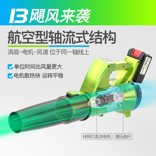 Blower lithium battery high-power industrial grade storm gun dust collector soot blower rechargeable hair dryer electric farm tool DY-Storm 3888TV1 electric 1 charge-Liefeng model