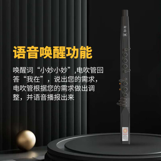 MK Electric Blow Wind Instrument Domestic débutant SAXOPHONE SAXOPHONE FLUTE NOIR STANDAGE + AUDIO + TRACLIVER 520 CADEAUX