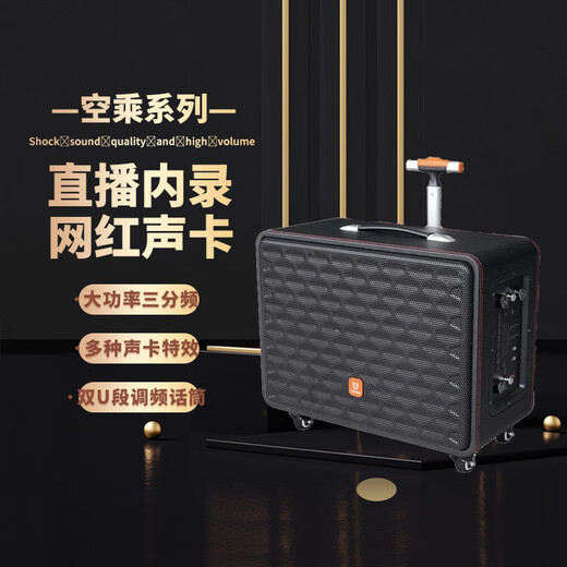 Bader Audio Flight Attendant Outdoor Live Square Dance Audio Wireless Bluetooth High Power Portable Trolley Built-in Sound Card All-in-One Speaker Flight Attendant Black 15-inch Dual Microphone