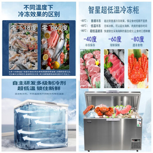 智星（ZX）超低温冰柜零下60度卧式刺身家用商用深冷柜海钓金枪鱼海鲜储存不锈钢工业生物科研大型冰箱 DW-695(-65）长1.95米