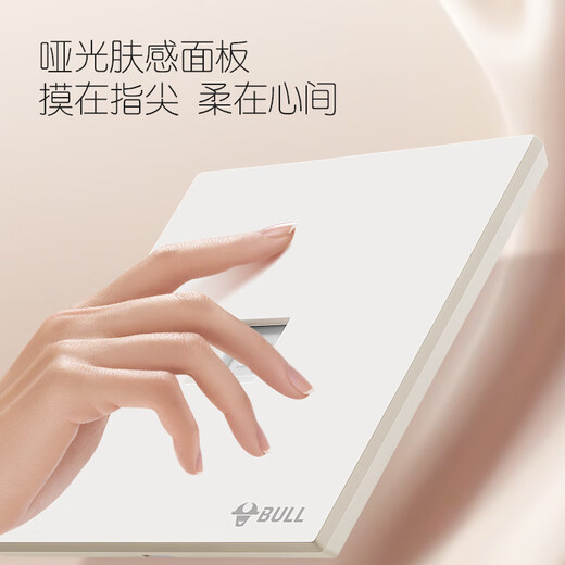 公牛（BULL）开关插座五孔大面板插座网线网络86型墙面暗装G57肤感米绒白 一位电脑插座(六类）