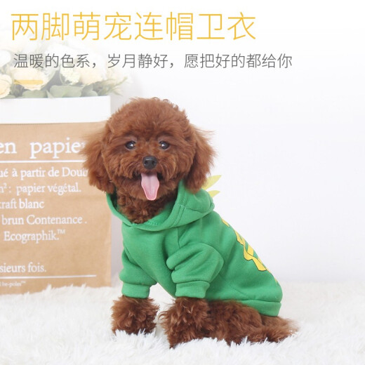 Hanhan pet dog clothes, cat clothes, pet clothes, transformed clothes, cat clothes, small and medium-sized dog and puppy autumn and winter clothes, small dinosaur model, XL size, recommended weight 10-18 Jin [Jin is equal to 0.5 kg]