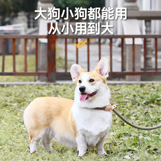 Huayuan pet equipment (hoopet) dog rope explosion-proof Okinawa P rope P chain traction rope collar large and medium-sized dog leash to prevent break-away dog walking