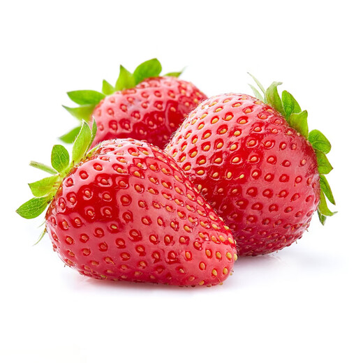 Strawberry seed cream strawberry seedlings for planting indoor and outdoor balcony vegetables and fruits potted flower seeds Dandong Spring Four Seasons Rainbow Field Four Seasons Milk Strawberry Seeds 150 capsules * 3 packs