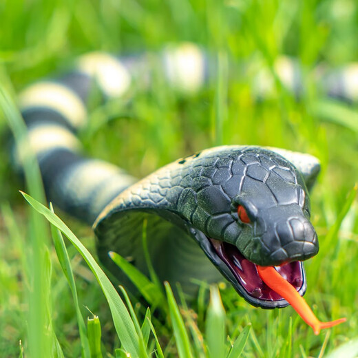 ZF-Kinder-Dekompression Streichspielzeug Simulation Fernbedienung Centipede Snake Spider Little Boy 3-5 Jahre alte Schwarze Technologie Animal [Schwarzes Modell] Simulierter Klapperschlangen 9909+ Schraubendreher offizieller Standard