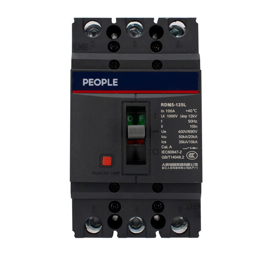 Disjoncteur à boîtier moulé électrique populaire RDM5, 100A 125A 160A 250A 400A 3P 4P, interrupteur à air RDM5-160L125A 3300