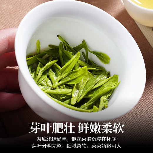 Chen Yifan Longjing tea tea green tea 2024 new tea Mingqian special grade Longjing tea Mingqian special grade Longjing gift box 100g gift bag