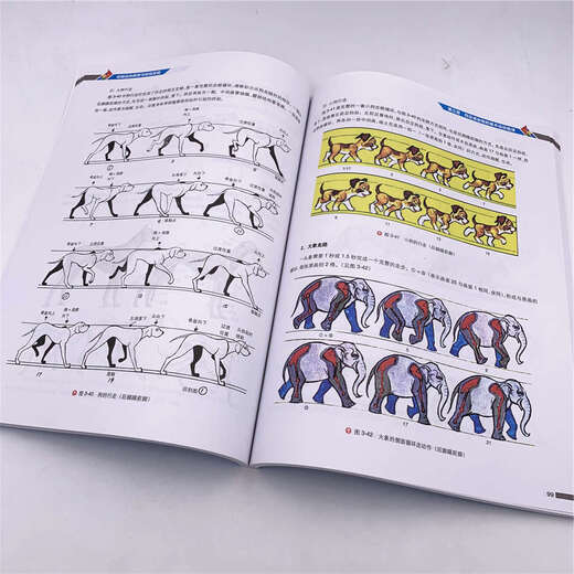 [Nouvelle version authentique] Animation Motion Laws and Time Mastery Tsinghua University Press 9787302512189 Lois des mouvements d'animation et la maîtrise du temps Tsinghua University Press 9787302512189 Animation Motion Motion et Time Mastery Tsinghua University Press 9787302512189 Animation des lois sur l'animation et la maîtrise du temps