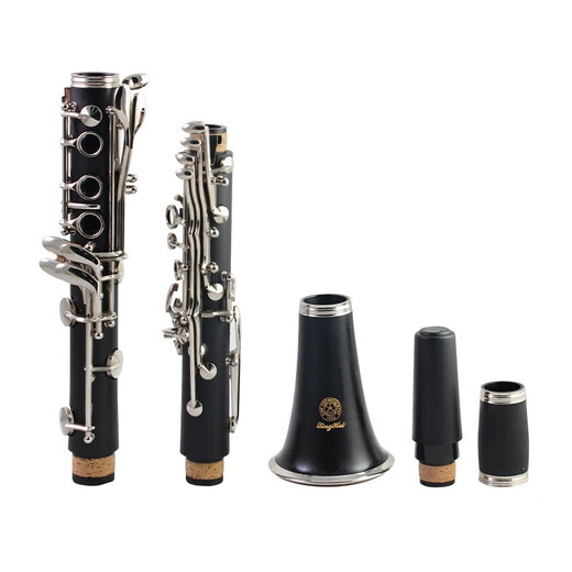 Xinghai-Klarinette, Klarinette an der Anfängerklasse, genauer Ton, ausgezeichneter Nickel-Taste, B-Flat Black Wind Instrument [Professional] XC-17J