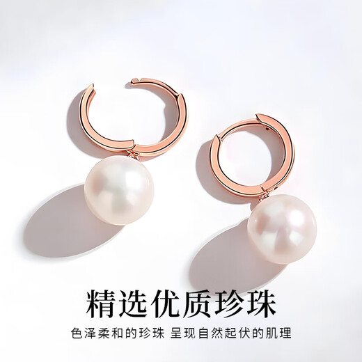 Chinese jewelry sterling silver freshwater pearl earrings for women 2025 new light luxury earrings anniversary birthday gift for girlfriend