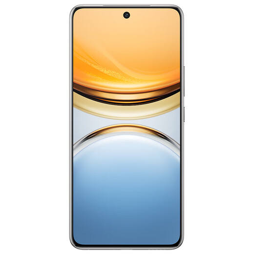 Vivo Y300 Pro 8GB+256GB Titanium Color National Subsidy 6500mAh Ultra-Thin Blue Ocean Battery Full Deep Micro Quad Curved Screen AI Camera Mobile Phone