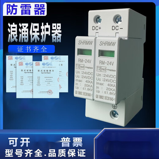 Shanghai 2P DC power supply lightning protection DC24V anti-surge protector monitoring 12V module 1000V white 24V DC