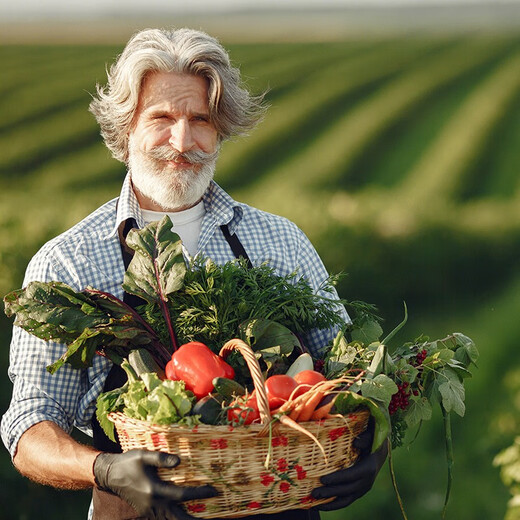 Beishu melon seeds, high sugar, early maturing, winter and spring sowing, Yu Naoxiang No. 1 melon seeds, 20 capsules