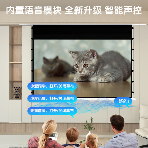 得力（deli）嵌入式投影幕布4K软白 120英寸16:9隐藏式天花幕布 智能语音控制 APP控制电动拉线幕布MS902