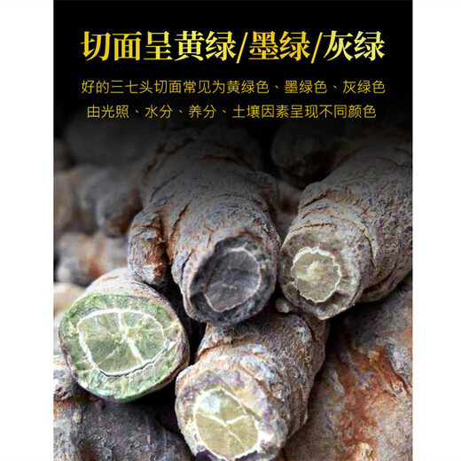 Kang Yuzun Panax Notoginseng Yunnan Panax NotoginSeng Tabletten ohne Schnitte Tianqi [15 Panax Notoginseng Tabletten ohne Schnitte 500 Gramm Medizin Effekt King]