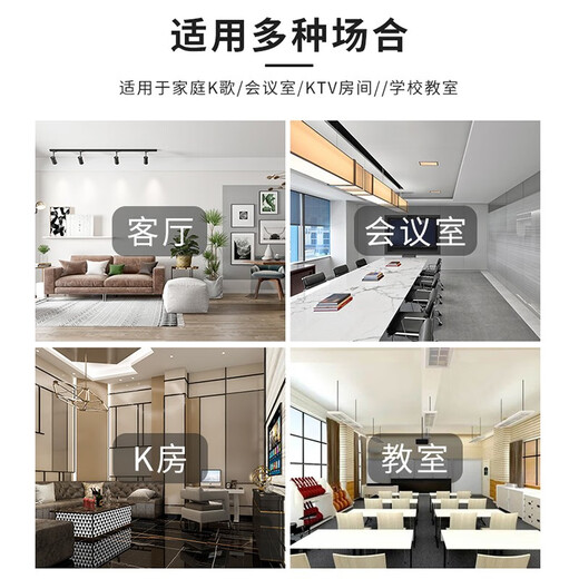 HYUNDAI现代家庭影院ktv音响套装家用k歌电脑电视客厅卡拉ok全套会议室卡包店铺专业功放音箱设备 【经典版】10吋音响套装
