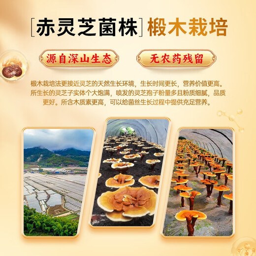 Fuyuankang Breaking Wall Ganoderma Lucidum Spore Powder Capsules Head Spore Powder contient Ganoderma Lucidum Spore Huile améliore l'immunité rouge Ganoderma Lucidum [2 bouteilles] 60 capsules * 2 bouteilles