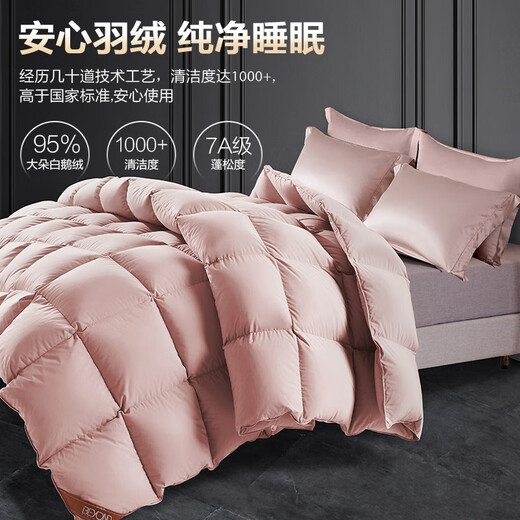 Boyang (BEYOND) Boyang Home Textile Down Quilt 95% White Goosevelt Quilt Thickened Warm Quilt Winter Anti-Down Fabric Double Quilt Core 95 White Goosevelt Winter Quilt (Dark Pink) 150*210cm