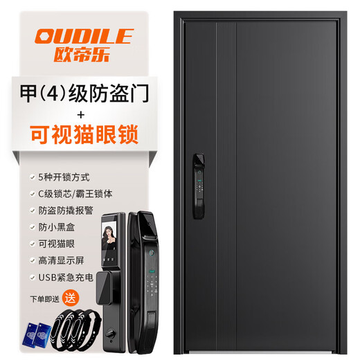 欧帝乐（OUDILE）028现代轻奢甲级防盗门入户门暗铰链+2250*1050+可视猫眼锁
