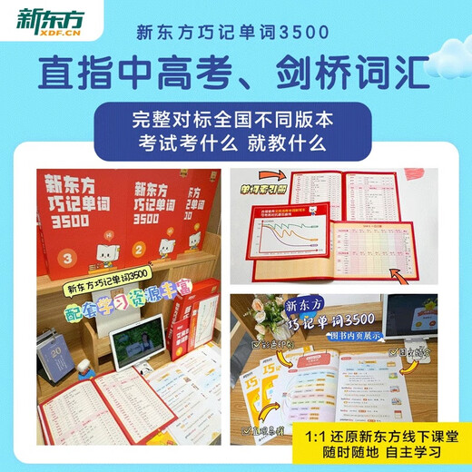 新东方单词宝典红宝书巧记单词3500小学初中高中英语短语词汇背诵英语学习词汇手册零基础学英语单词红宝盒 第1级（1-3年级）