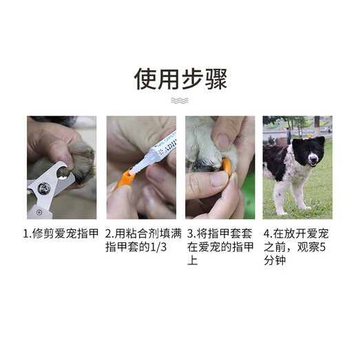 Keep a Pet (YOUNGER PET) Pet Nail Cover Dog Nail Cover Cat Nail Cover Cat and Dog Claw Cover Anti-Scratch Cover Anti-Cat Scratch Teddy Nail Cover Orange for Cats (20 pieces) S Suitable (2.5-5kg)