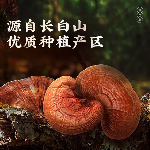 Lei Yun Shang Breaking Wall Ganoderma Lucidum Caja de regalo de polvo Spore 1G*22 bolsas/caja Jilin Changbaishan Ganoderma Lucidum Powder mejora la inmunidad 1 Box 22G