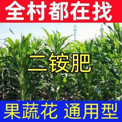 The United States imports diammonium chemical fertilizer, agricultural diamine phosphate compound fertilizer, strong seedlings, drought-resistant and lodging-resistant crops, fruit trees, high-quality diamine phosphate (2Jin Jin equals 0.5 kg)