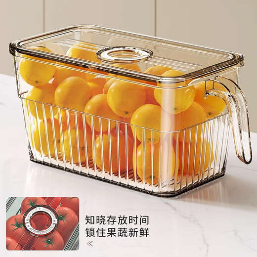 Home KATEI STORY Japanese egg box with lid refrigerator storage box fruit box sealed crisper food grade egg storage box large transparent 5L (one)