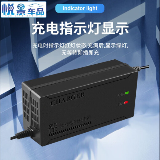 桐汝壁适配 新蕾电动车充电器4812AH6020AH 7232AH电车三轮车通用 4840AH 通用T型