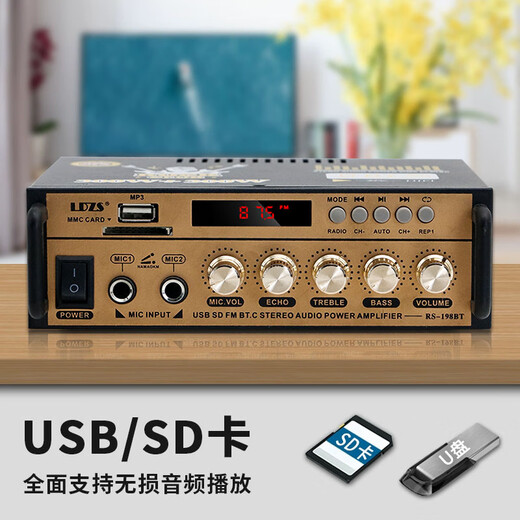 LDZS Mini Mini -Verstärker -Lautsprecher -Amplifikationskarte USB -Flash -Laufwerk DC 12V 220V Bluetooth -Verstärker erweiterte Konfiguration (Anzeige + Reverb -Einstellung)