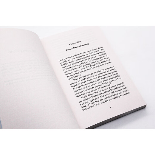 穿条纹睡衣的男孩 英文原版小说 the boy in the Striped Pyjamas 青少年课外阅读