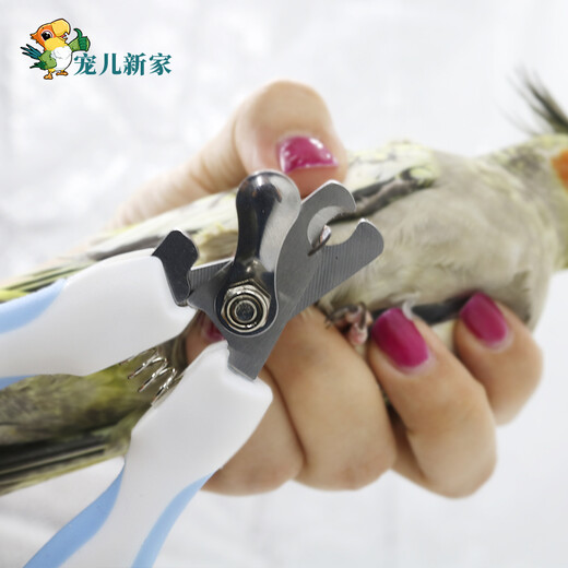 Beloved New Home Parrot Nail Clippers Bird Claw Nail Beak Tip Bird Nail Clippers Pet Obtuse Angle Scissors