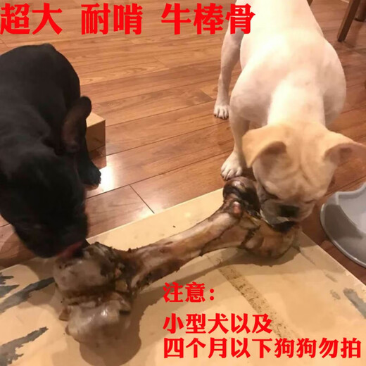 Jihui Dog Bones Molar Stick Bone Golden Retriever Erha Large and Medium-sized Dog Pet Dog Snacks Resistant to Gnawing Calcium Supplement Extra Large Beef Bone Small Size 700-1000g/About 30cm 1 month (inclusive) - 3 months (inclusive)
