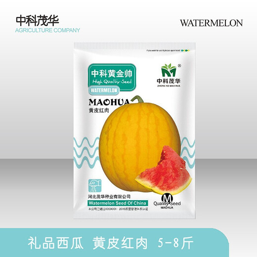 Zhongke Maohua Fruit Seeds Jin Linglong Golden Handsome Watermelon Seeds Yellow Skin Red Flesh Gift Watermelon Seeds Small Super Sweet Picking Garden Zhongke Golden Handsome 100 capsules/bag