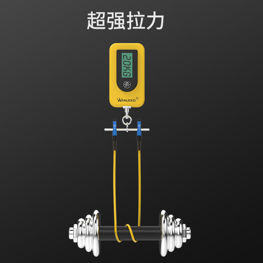 万级（WANJEED） 光纤跳线 LC-LC单模双芯电信级尾纤SC/FC/ST单模单芯低烟无卤光缆光纤入户室内线 LC-LC 单模双芯 3米