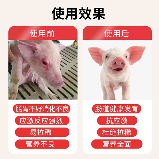 Xintainong 846 suckling pig concentrated feed, conservation material, fish meal peeled and puffed soybean meal, good palatability pig feed 20KG/bag 2 bags 846