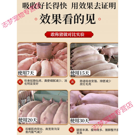 Fattening No. 1 Pig Feed Additive for Fattening, Cattle and Sheep Fattening to Promote Growth, Crazy Growth and Weight Gain King Fattening Treasure