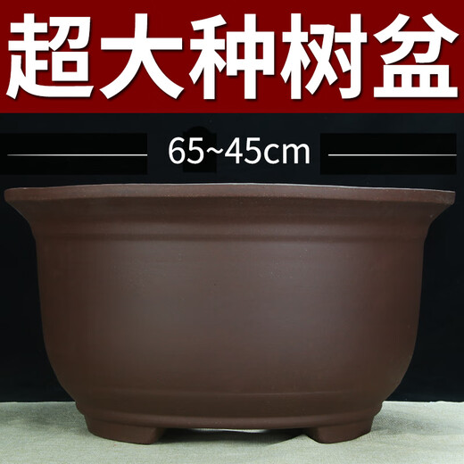 特大号紫砂花盆种树老桩60cm以上超大种发财树铁树陶瓷盆 紫砂 x 854大中两个