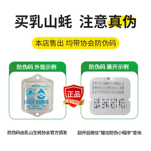 Popular Rushan oysters, fresh oysters, extra large seafood oysters, 5 Jin Jin equals 0.5 kg, whole box of fresh oysters, 5 Jin Jin equals 0.5 kg, 3XL size, 15-18 pcs, quality guaranteed