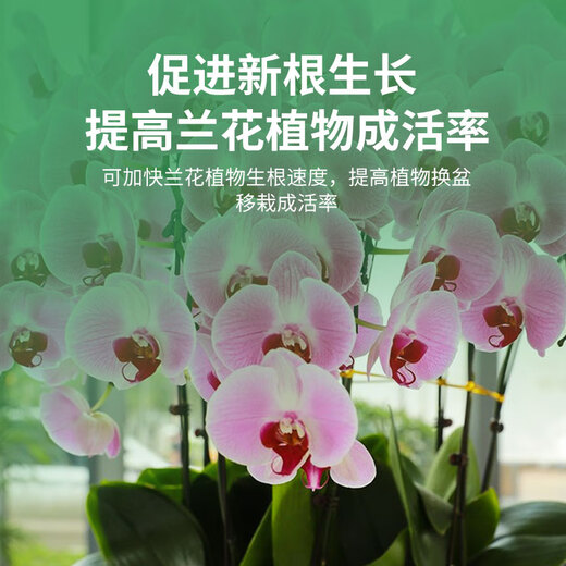 Man Life Orchid Special Soil 15L Nutrient Soil Flower Soil Imported Coconut Peat Peat Soil Pine Bark Phalaenopsis Planting Soil