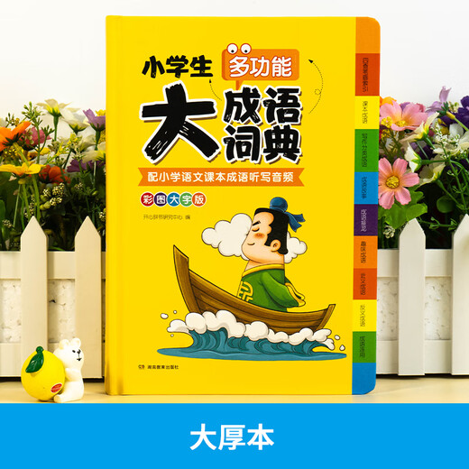 小学生多功能大成语词典（彩图大字大开本）中小学生大成语词典工具书现代汉语多功能新华字典大成语词典训练四字词语解释书专用最新版