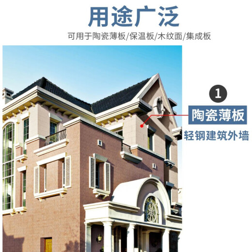 赛磊那753聚氨酯泡沫粘合剂 强力速粘 岩板瓷砖大板硅酸钙板复合背景墙板保温板 5分钟快干泡沫胶 753泡沫粘合剂1支装(枪+软管)