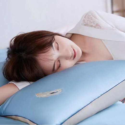 [Same model in the mall] Mengjie Forbidden City Cultural Co-branded Silk Pillow Machine Washable Luxurious Silk Brocade Pillow Core Embroidery Single Home Breathable Pair Pillow Core Gift Box Phoenix Yu Fei (Pair Pack) 50*70cm
