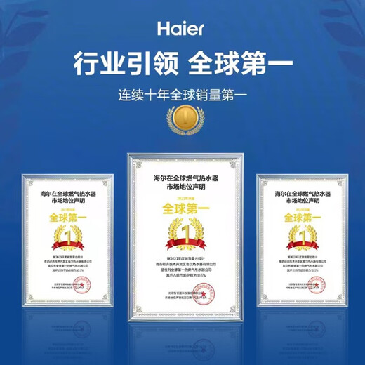 Haier gas water heater natural gas household constant temperature forced exhaust type energy-saving gas-saving instant hot bath intelligent variable frequency fan patented anti-freeze door-to-door delivery and installation consultation surprise 13L UTS ECO energy saving