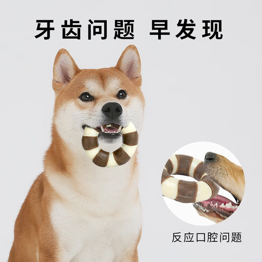 EETOYS Small Ring Dog Toy Eats and Plays 2-in-1 Teeth-Resisting Bite-Resistant Companion and Boredom Relief Pet Supplies