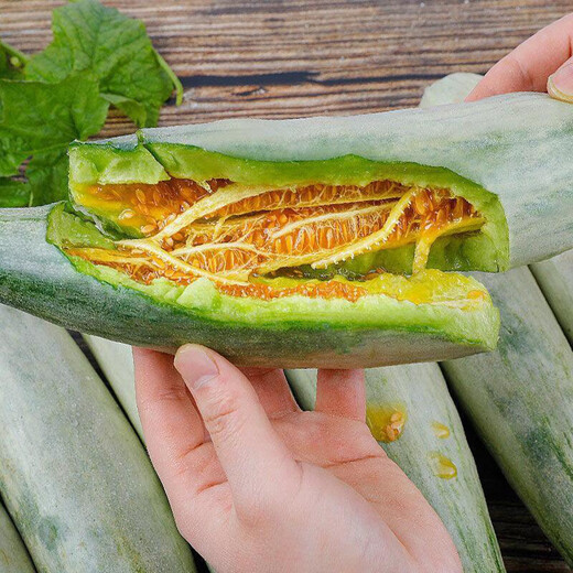 Shouhe croissant honey seed seedlings crispy sweet fruit melon seeds Weiyu Shouting No. 9 croissant honey seeds 600 capsules in a barrel