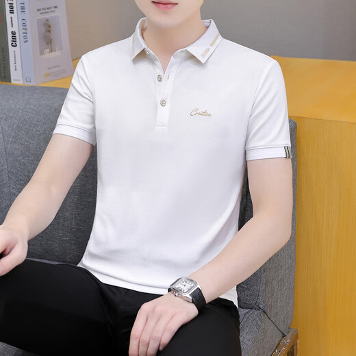 CAIDEN KETCH男装品牌短袖polo衫t恤男士2025夏季新款商务休闲百搭透气上衣服 白色679 【现货速达】 XL （建议126-140斤）
